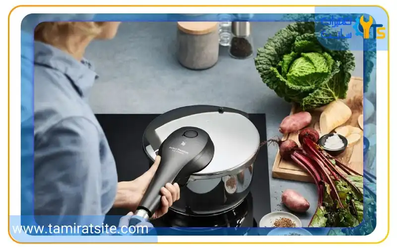 آیا پختن غذا در زودپز ضرر دارد؟ نظر پزشکان در مورد آن چیست