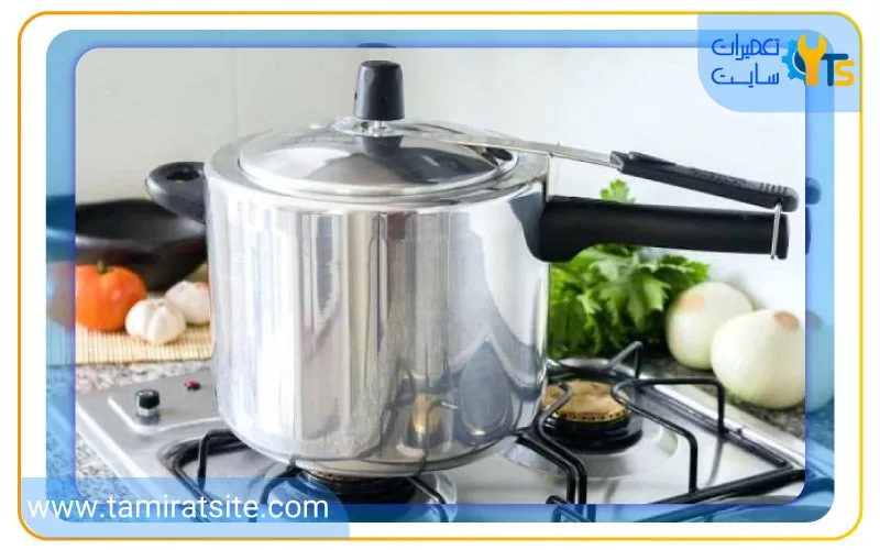 ایمنی زودپز