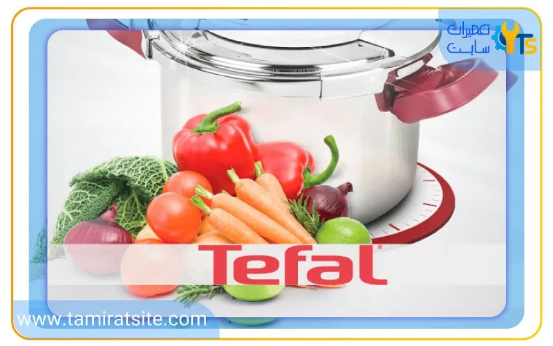 خدمات قابل ارائه برای تعمیر زودپز تفال - TEFAL در تعمیرات سایت
