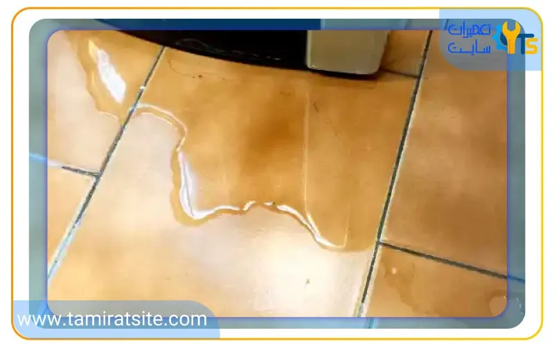 سرویس آبسردکن که نشتی دارد