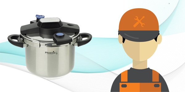 سرویس-زودپز-فونیکس