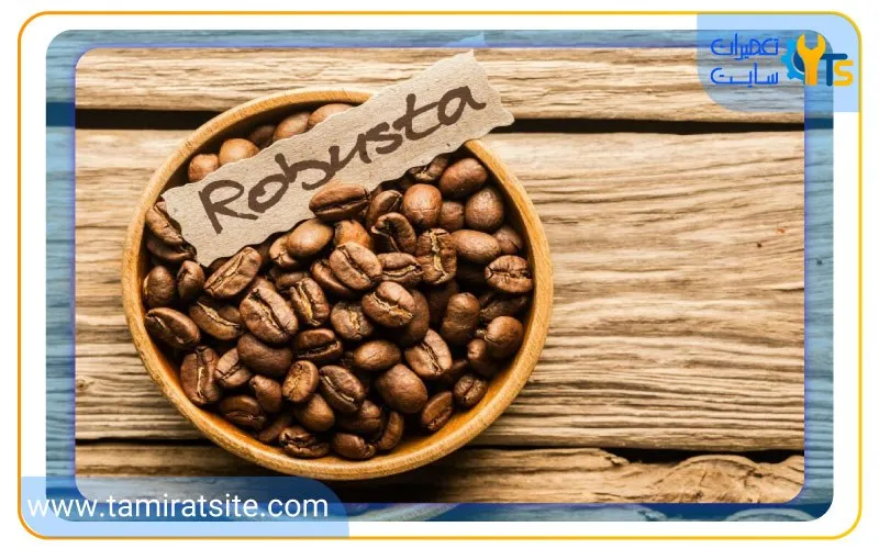قهوه روبوستا چیست