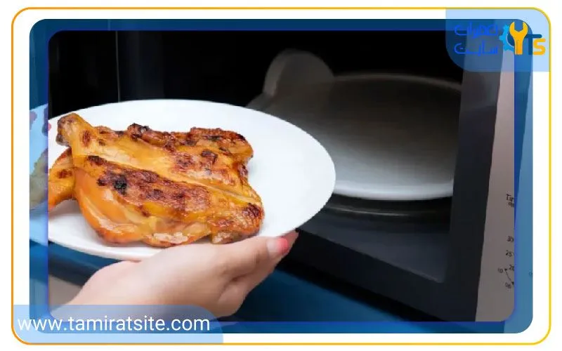 نحوه گریل کردن مرغ و ماهی در مایکروفر فلر