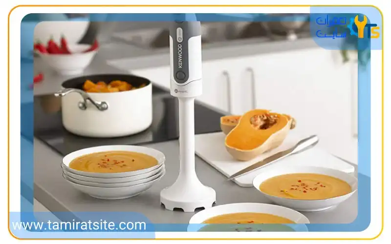 گوشت کوب برقی تک کاره چیست